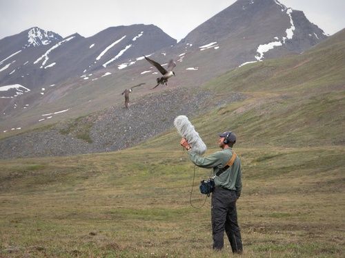 Discoveries Written in Water